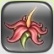 flower power.jpg