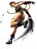 cammy-ssfiv.jpg cammy-ssfiv.jpg