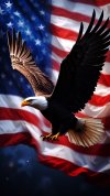 A majestic eagle soaring against the backdrop of….jpg A majestic eagle soaring against the backdrop of….jpg