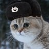 Stealth