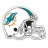 Dolphinsfootball17